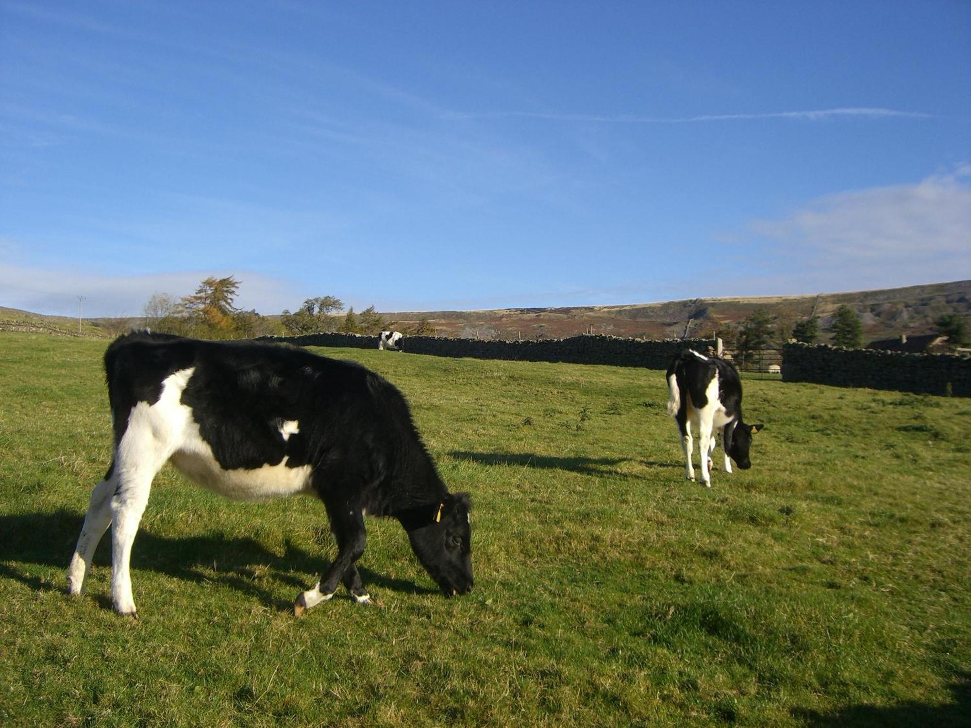 Arkleside Country Guest House Reeth Exterior photo